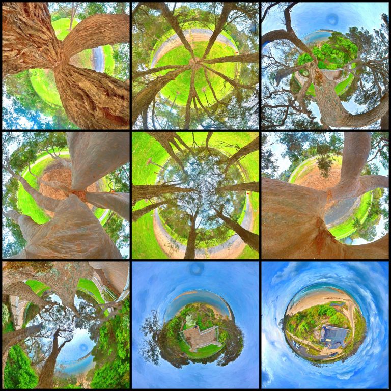 TP Tree Art