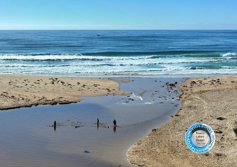 Betka River Mouth Opens