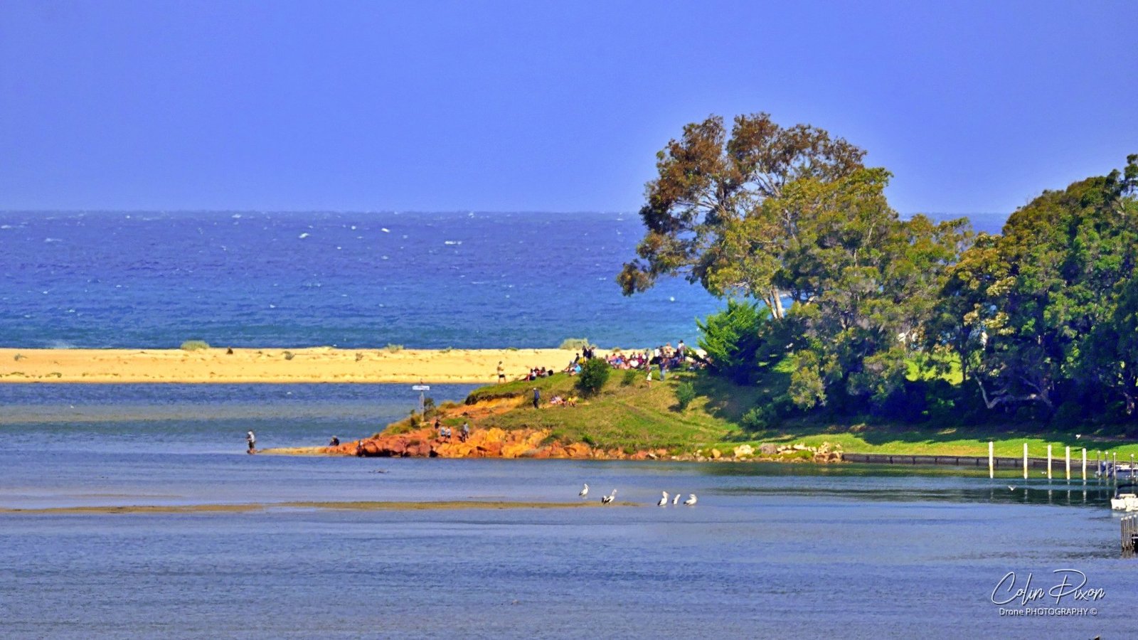 Roulettes Soar Over Mallacoota