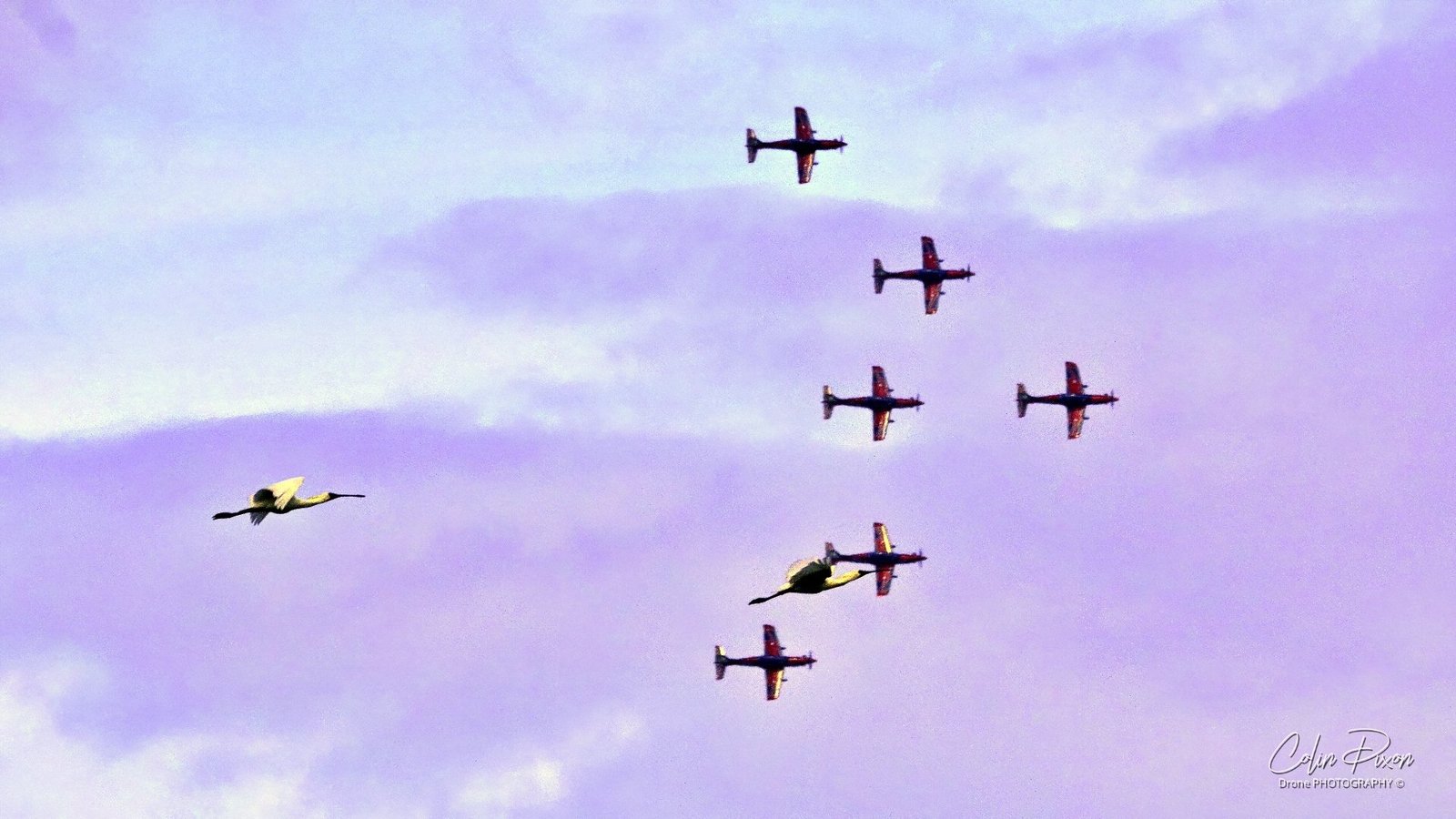 Roulettes Soar Over Mallacoota