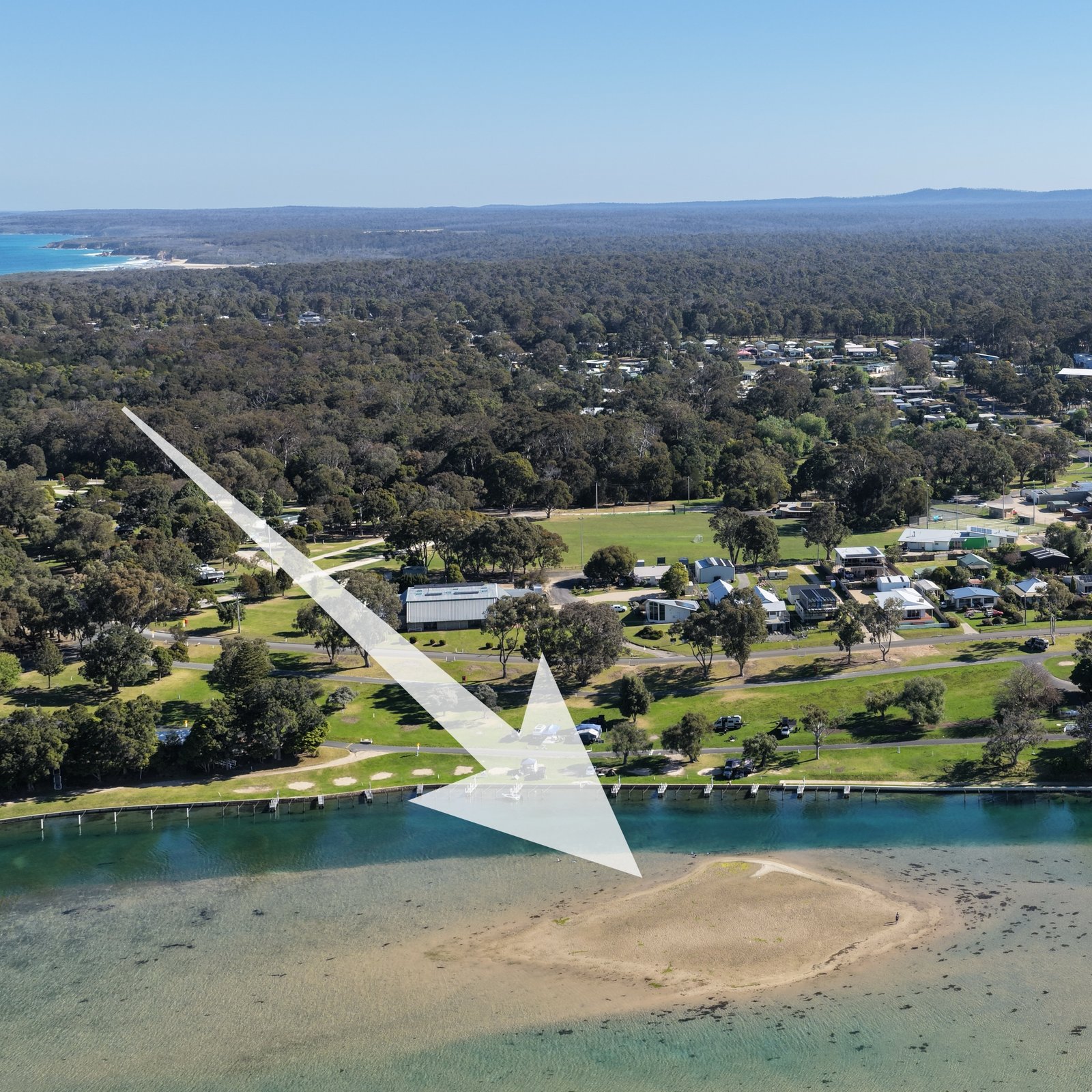 Sick and Dead Crested Terns Found at Mallacoota Foreshore