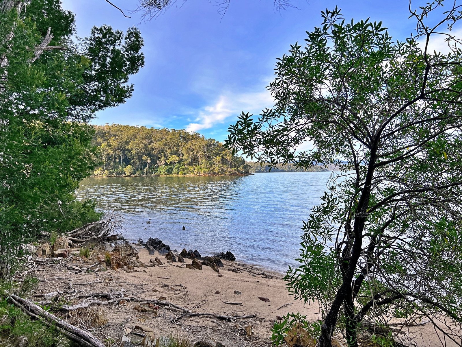 Narrows 4 Sep 24-2k-04